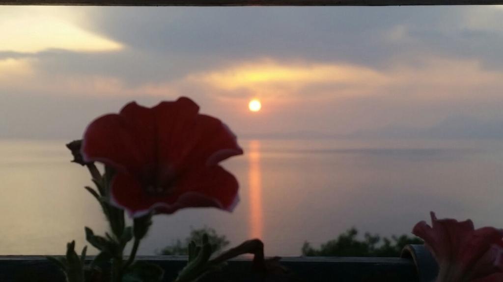 B&B "L'Eco Del Mare" Agropoli Exteriör bild